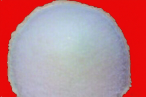 设置背景图片 (27)